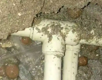 金塔测漏水多少钱