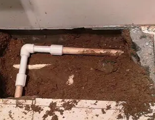 金塔测漏水哪家好