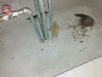 金塔卫生间测漏水价格明细