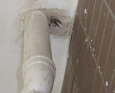 金塔漏水检测哪家好